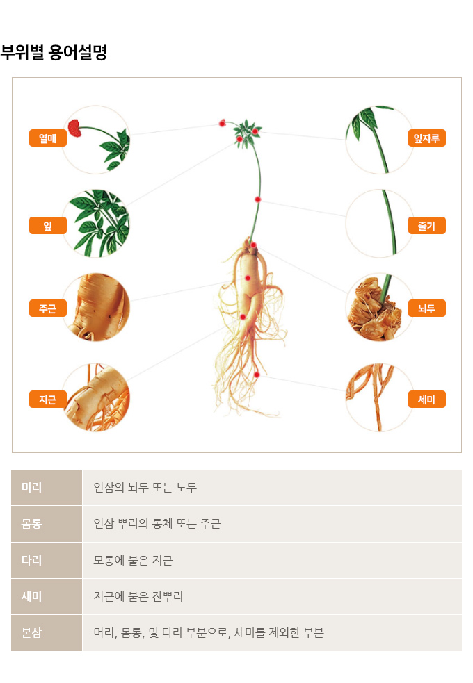 한국인삼협회